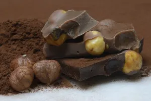 Cocoa Powder Treats Drucke: Chocolate with whole hazelnuts