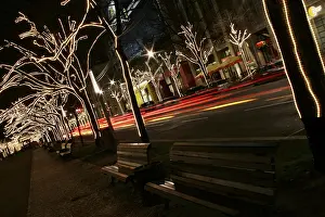 Advent Season In Europe Drucke: Christmas decorations on trees
