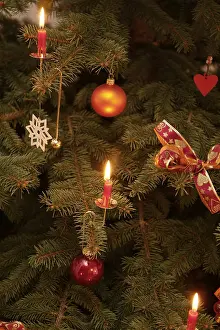 Festive Holiday Decoration Drucke: Christmas tree