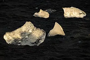Glacier Lagoon Drucke: Chunks of ice are illuminated by the sun