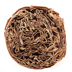 Unhealthy Smoking Habits Drucke: Cigar