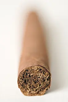 Unhealthy Smoking Habits Drucke: Cigar