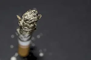 No People Smoking Drucke: Cigarette with Ash