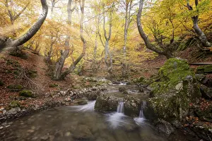 Deserted Spanish Landscapes Drucke: Cinera de Gordon, Leon
