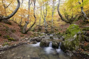 Deserted Spanish Landscapes Drucke: Cinera de Gordon, Leon