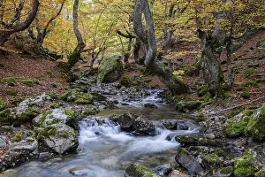 European Natural Landmark Drucke: Cinera de Gordon, Leon