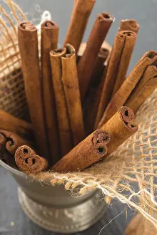 Cinnamon Sticks Drucke: Cinnamon sticks