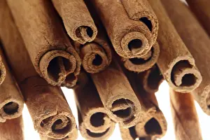 Spicy Food Drucke: Cinnamon sticks