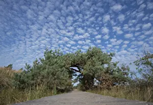 Northern Germany Nature Reserve Drucke: Circular trail, DarBer Ort