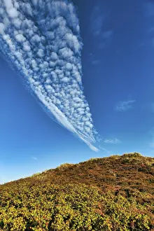 Cirrocumulus Clouds Drucke: Cirrocumulus, blue sky over a dune