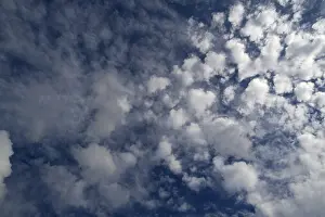 Overcast Sky Drucke: Cirrocumulus cloud