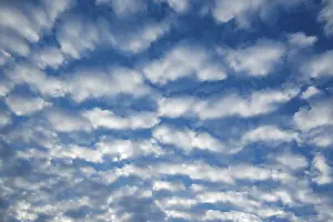 Cirrocumulus Clouds Germany Drucke: Cirrocumulus clouds, small fluffy clouds, Germany