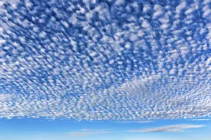 Cirrocumulus Cloud Types Drucke: Cirrocumulus, fleecy clouds in blue sky