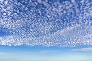 Cirrocumulus Cloud Types Drucke: Cirrocumulus, fleecy clouds in blue sky
