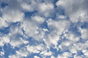 Cirrocumulus Clouds Germany Drucke: Cirrocumulus, small fleecy clouds, Germany
