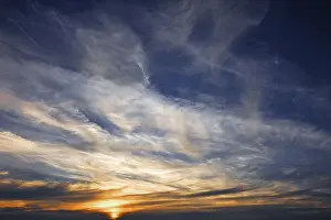 Cirrus Clouds Drucke: Cirrus clouds (Cirrus) with the setting sun