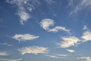 Cirrus Clouds Drucke: Cirrus clouds, feather clouds, ice clouds