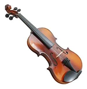 White Studio Space For Text Drucke: Classic modern violin against white background
