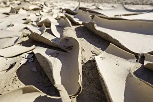 Environmental Protection Symbols Drucke: Clay patterns close-up in a dry river bed