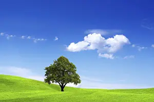 Agricultural Environment Drucke: Clean Environment