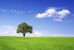 Organic Farming Practices Drucke: Clean environment