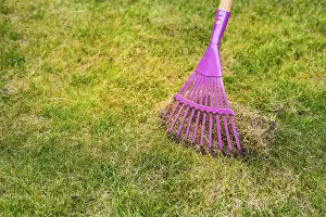 Urban Gardening Drucke: Cleaning up the grass with a rake