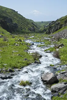 Armenia Landscape Photography Drucke: Clear stream flows through a green