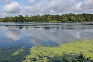 Overcast Sky Landscape Photo Drucke: Clear water with algae and clouds