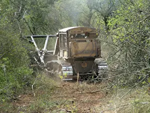 Paraguay Drucke: Räumung des trockenen Waldes mit Bulldozer.