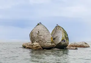 Rocky Shoreline Landscape Drucke: Cleaved rock, Split Apple Rock