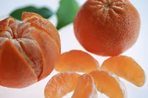 Citrus Fruit Drucke: Clementines (Citrus spec.)