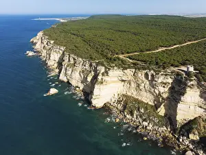 Aerial View Of Spain Drucke: Cliff, pine tree (Pinus pinea)