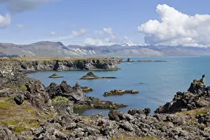 Icelandic Rocky Shore Drucke: Cliffs at Arnarstapi, Snaefellsness
