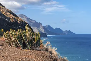 Gran Canaria Viewpoint Drucke: The cliffs from the Barranco de Guayedra viewpoint