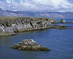Basalt Rock Formations Drucke: Cliffs formed by volcanic basalt columns