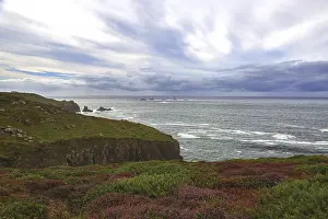 Uninhabited Coastal Scenes Drucke: Cliffs with heather in the foreground