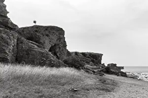 Black And White Coastal Scene Drucke: Cliffs made of reef limestone, distinctive coastline