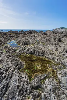 Uninhabited English Coastlines Drucke: Cliffs and rocks by the Bantham Beach