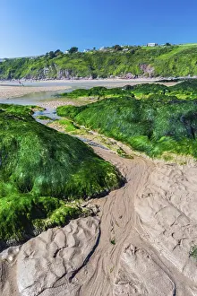 Drucke von Felsklippen und Felsen am Bantham Beach, Kingsbridge, Devon, England, Vereinigtes Königreich Kingsbridge Drucke: Felsformationen und Felsen am Bantham Beach.