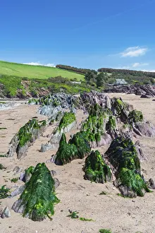 Drucke von Felsklippen und Felsen am Bantham Beach, Kingsbridge, Devon, England, Vereinigtes Königreich Kingsbridge Drucke: Felsklippen und Felsen am Bantham Beach.