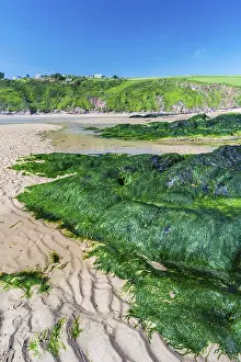 Drucke von Felsformationen und Felsen am Bantham Beach, Kingsbridge, Devon, England, Vereinigtes Königreich Bantham Drucke: Felsklippen und Felsen am Bantham Beach.