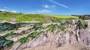 England Coastal Scenes Drucke: Cliffs and rocks by the Bantham Beach