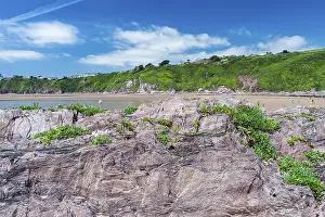 Drucke von Felsklippen und Felsen am Bantham Beach, Kingsbridge, Devon, England, Vereinigtes Königreich Bantham Drucke: Felsklippen und Felsen am Bantham Beach