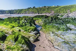 Devon Coastline Drucke: Cliffs and rocks by the Bantham Beach