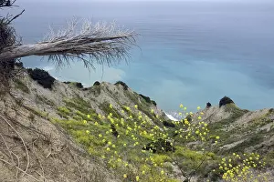 Uninhabited Rock Cliffs Drucke: Cliffs in the south of Corfu