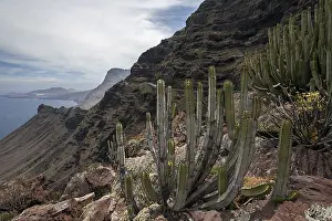 Rocky Coast Canary Islands Drucke: Cliffs, steep coast, northwest