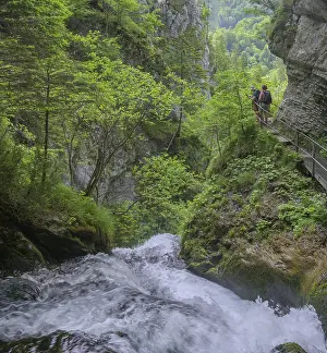 Lower Austria Drucke: Climb above the Treffling Falls