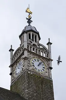 British Administrative Building Drucke: Clock Tower, Town Hall, Seagull