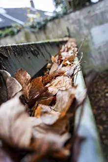 North Rhine Westphalia Homes Drucke: A clogged gutter is filled to the brim with brown