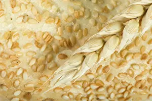 Wheat Cereal Crops Drucke: Close up Bread and wheat cereal crops. Studuo shot